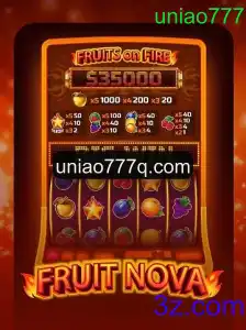 Explorando o Mundo de 'FruitNova': Tudo o Que Você Precisa Saber